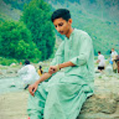 Alihamza Khan chandia