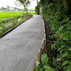 vanlung Ta