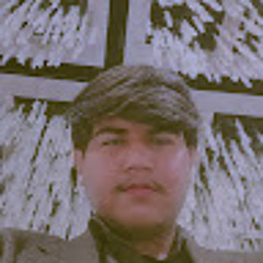 Hussain Zaidi