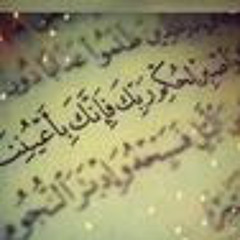 mohamed ahmed fouad
