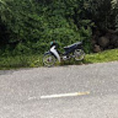 Hiển Trần