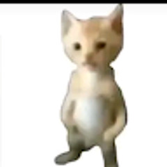Pikmin12