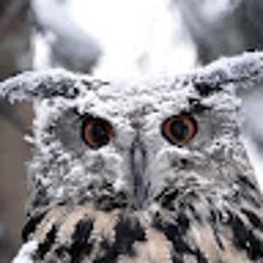 Дмитро Угрімов