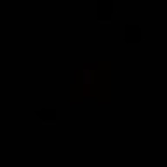 User 510510028