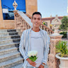 Hassan Elkrdawy
