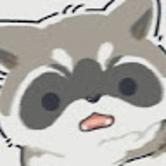 racoon