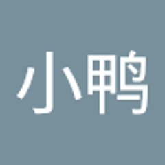 孙小鸭
