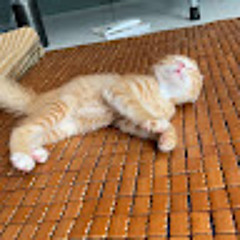 Hương Nguyễn