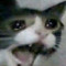mikiory