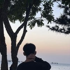 Trung Vĩ