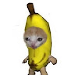 Trang Do