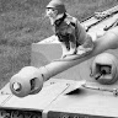 Кириешка go