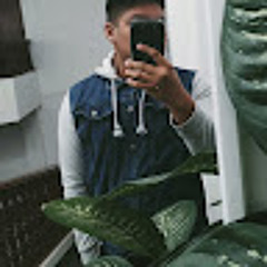 Max Alexander Vicente