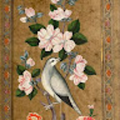 ibrahim