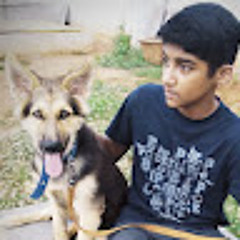 Nithish Shanmugam
