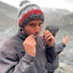 amit levi