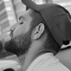 mohammad mehdi rostami