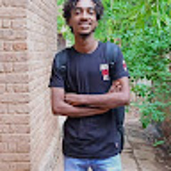 Tamer Sabrei