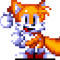 Tails The Fox