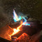 Bace Flux