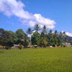 aiai416