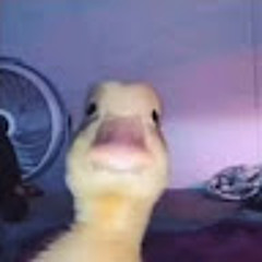 Láďa Pešl
