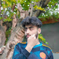 sayam hashmi