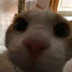 Степан (QuakeOfficial)