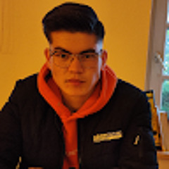 Sina Bigzad