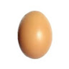 sensel0rd