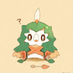 witek gamer