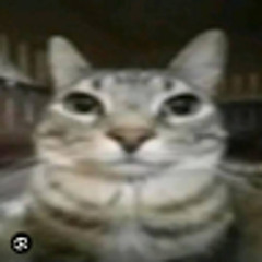 Erickluangomesdacosta62