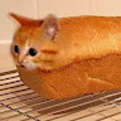 Gato Pan