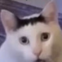 Hải Dương Nguyễn