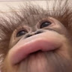 장승현