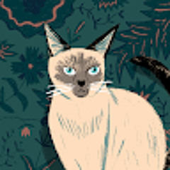 อาทิตย์