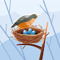 Robin2272