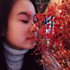 Hạnh Phan