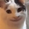 Dvdvrgr Gergrvtv