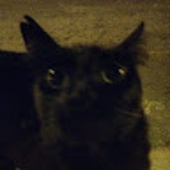 Cecília Soria Tamarit