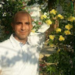 mohamnadreza karimzadeh