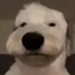 Wueslon