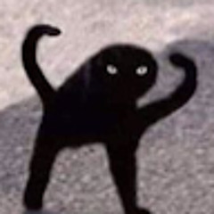 Tibii