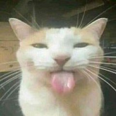 Nguyenn Huyy