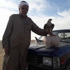 الحاج سلومه الطلخاوي