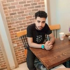 Hossam Elmesady