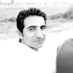 suleman haider sahi