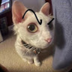 Артем Поліщук