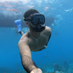 Nirav Hathi