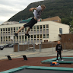 fleinsteinpafleinsopp